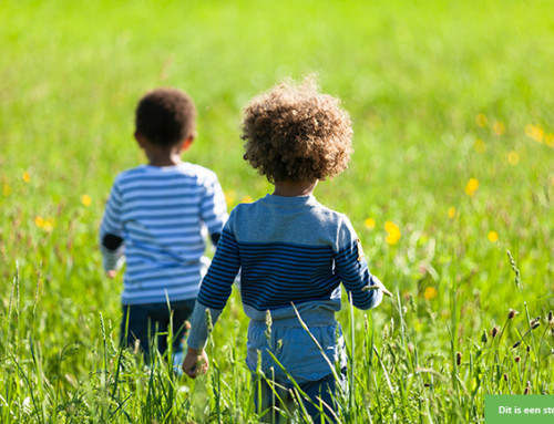 Logeerplek voor twee lieverds!