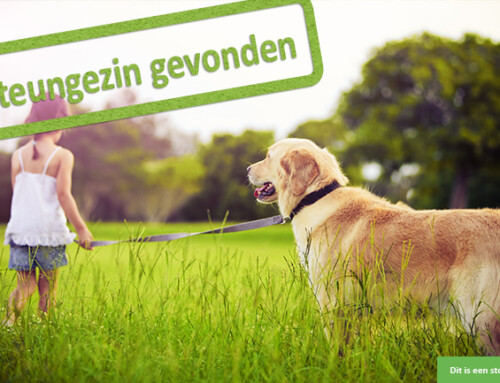 Mag ik voor jullie hond konijn, paard of ander dier zorgen?