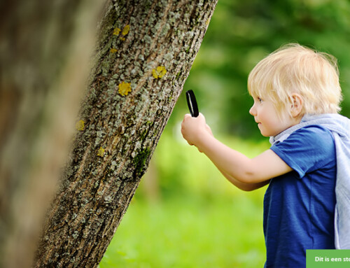 Ga je mee op avontuur in de natuur met deze jongen (6)?